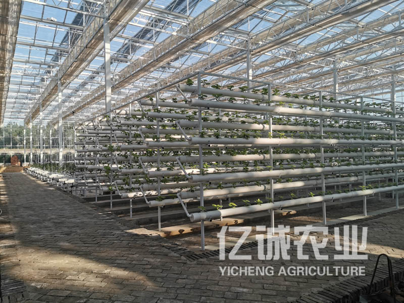 文洛型溫室大棚造價(jià) 文洛型溫室大棚造價(jià)