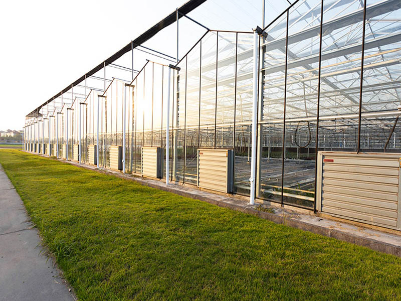 冬暖式日光溫室大棚 冬暖式日光溫室大棚