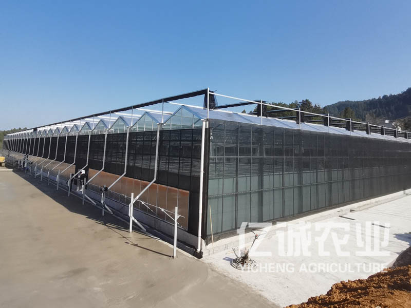 溫室大棚造價 溫室大棚造價