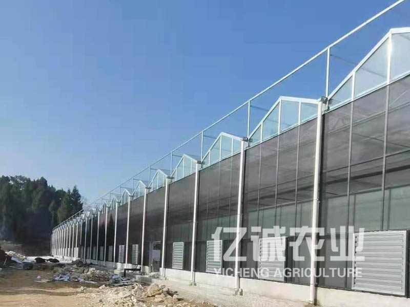 建溫室大棚需要多少錢 建溫室大棚需要多少錢