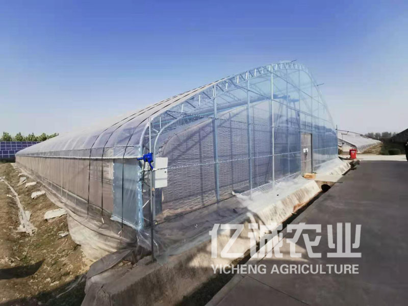 溫室大棚報價 溫室大棚報價