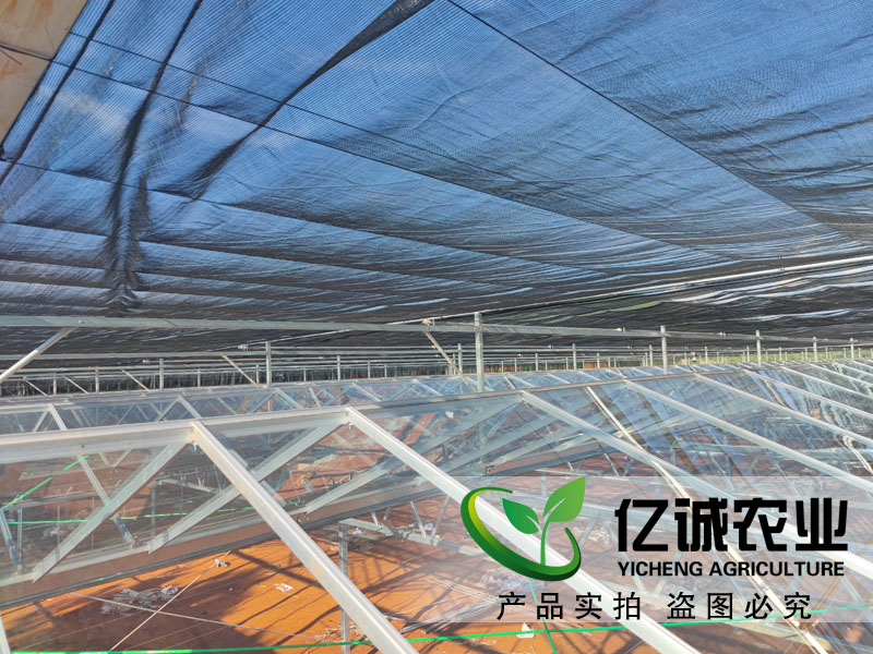 荷蘭溫室大棚 荷蘭溫室大棚