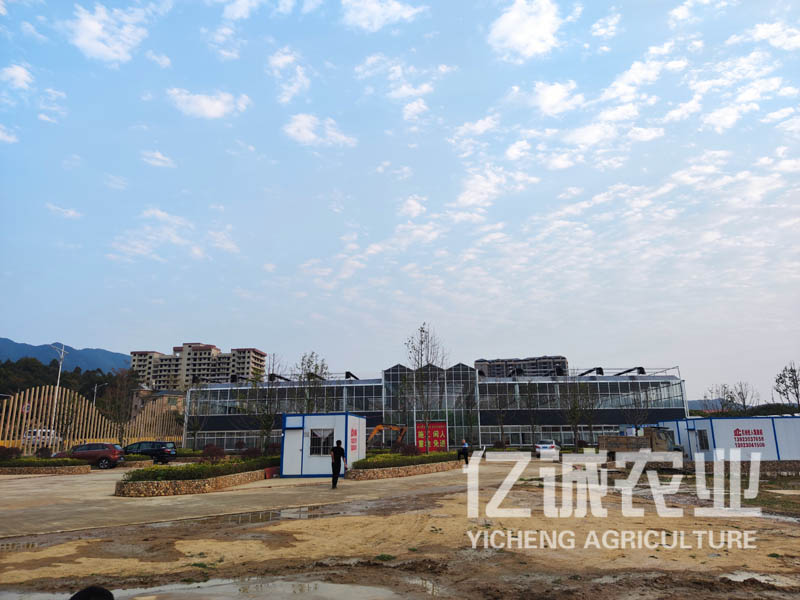 現(xiàn)代化連棟溫室大棚建設有補貼嗎？連溫室大棚造價多少一畝