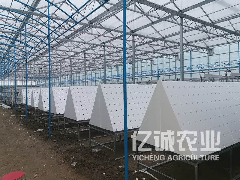 薯類(lèi)作物的溫室大棚怎么建設(shè)？造價(jià)高不高？