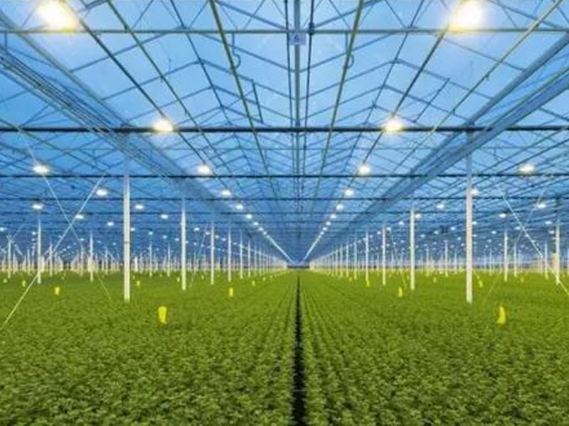 荷蘭溫室建設(shè)廠家